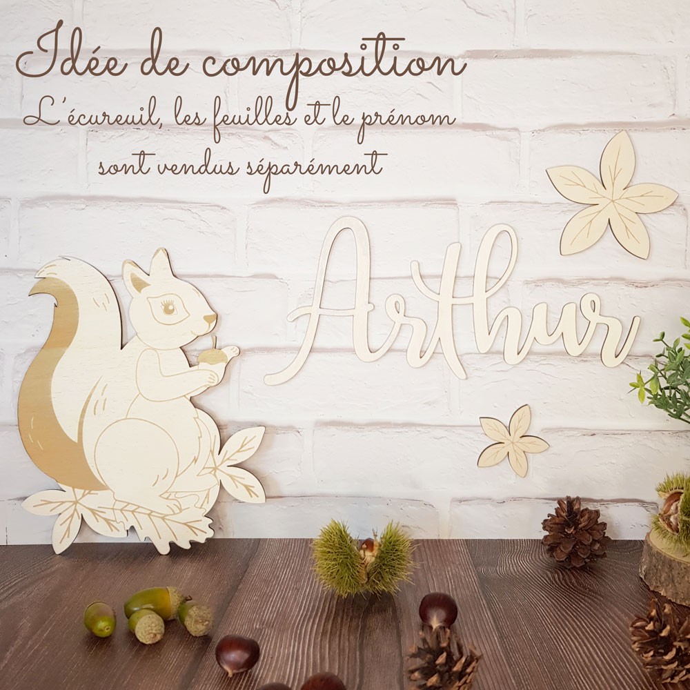 Plaque de maison avec plaque acrylique moderne écureuil Full color -   France